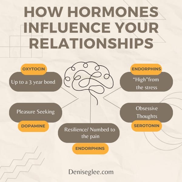 A diagram of hormones influencing relationships