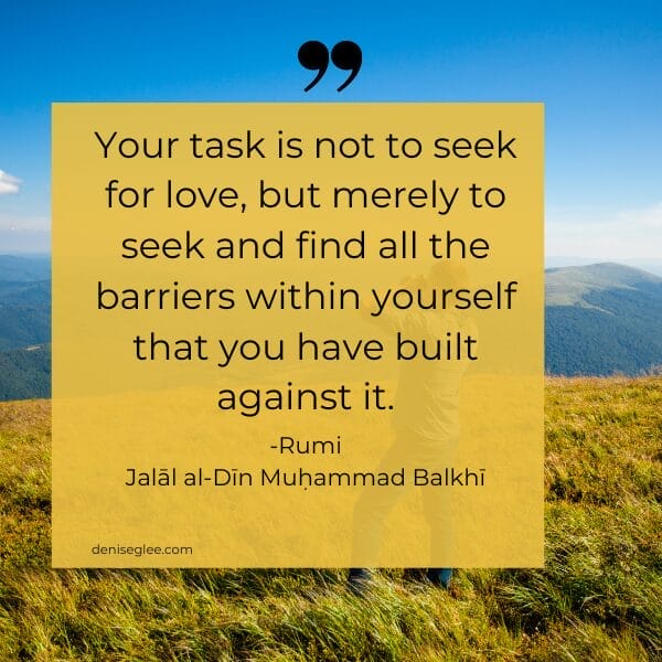 Your task is not to seek for love, but merely to seek and find all the barriers within yourself that you have built against it.