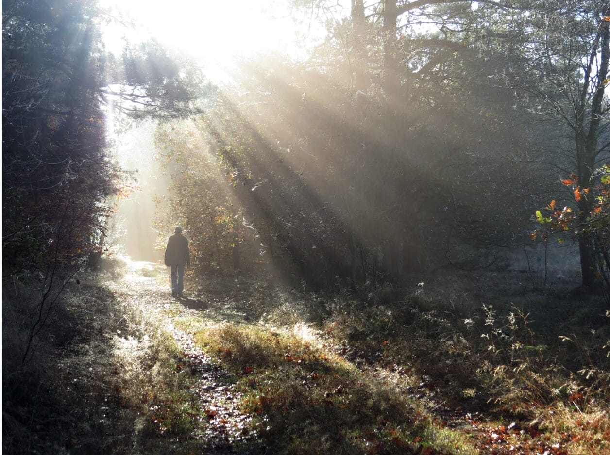 man walking towards sun