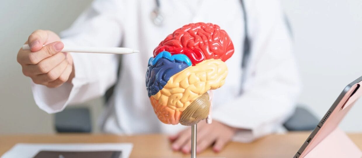 man wearing lab coat with pen pointing toward brain